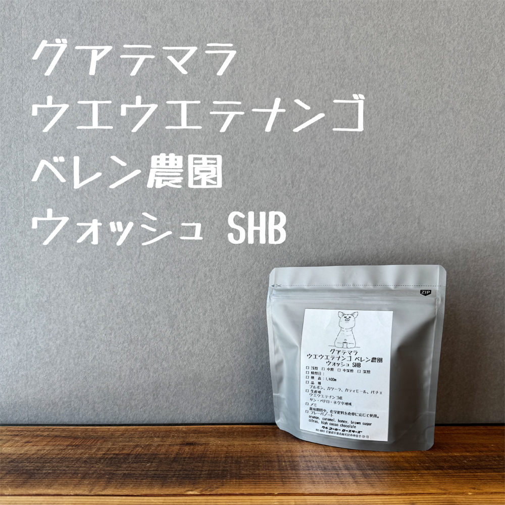 グアテマラ ウエウエテナンゴ ベレン農園 ウォッシュ SHB　100g