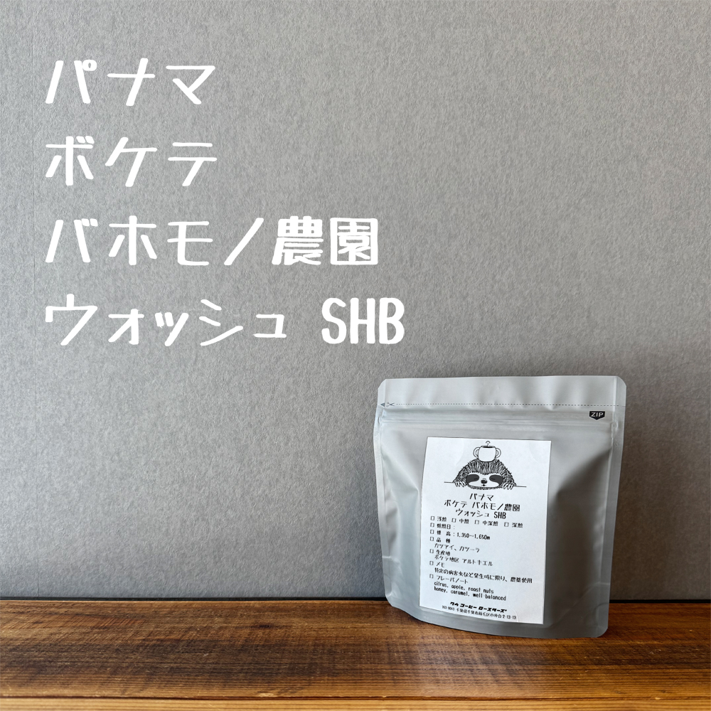 パナマ ボケテ バホモノ農園 ウォッシュ SHB　100g