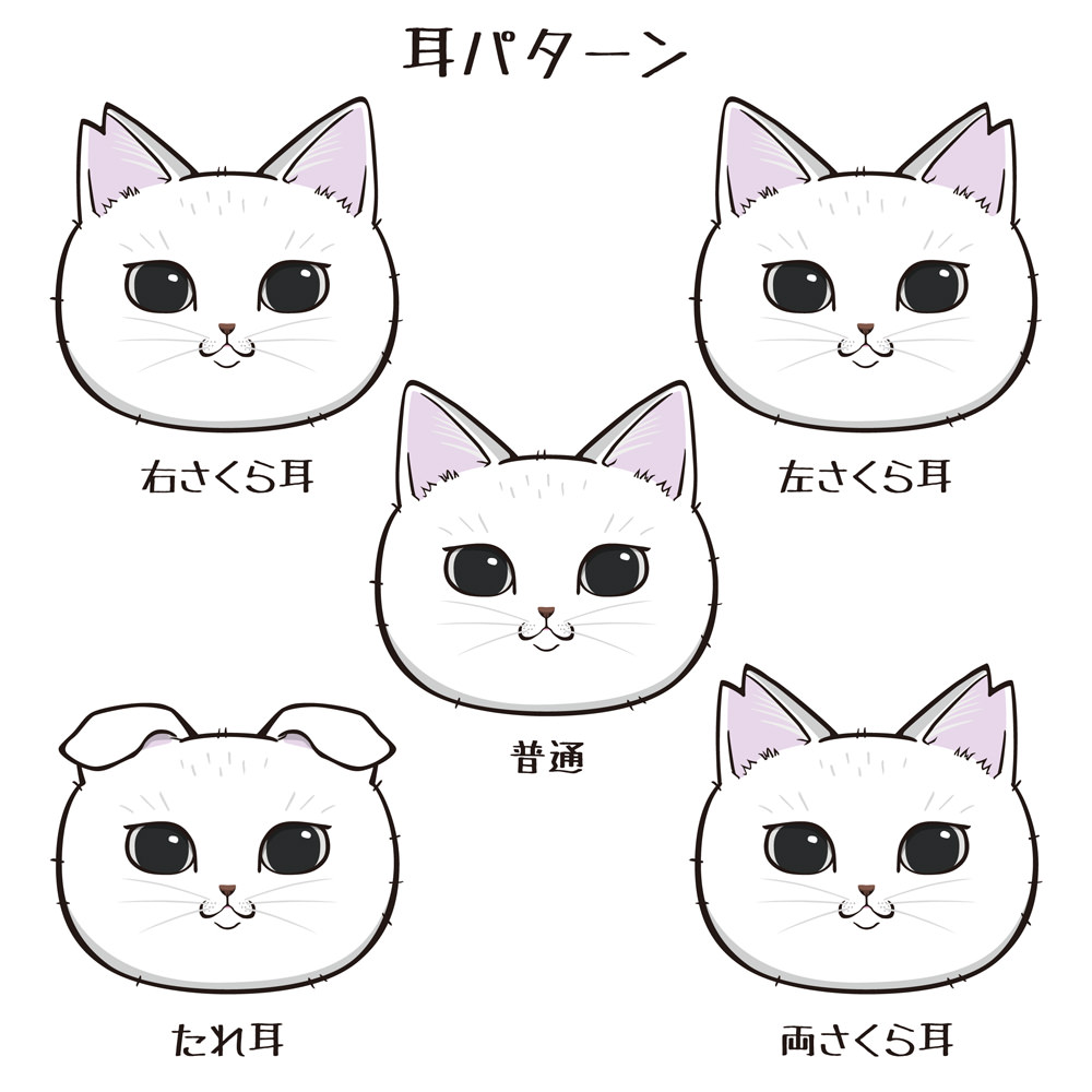 耳パターン